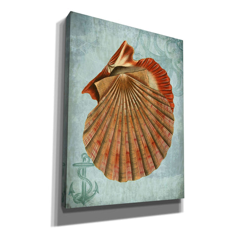 Image of 'Coastal Life Collection 2 c,' by Fab Funky, Giclee Canvas Wall Art