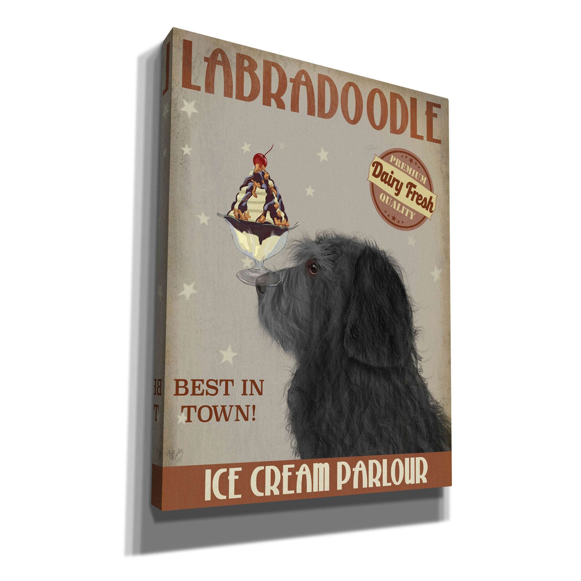 'Labradoodle, Black, Ice Cream,' by Fab Funky, Giclee Canvas Wall Art