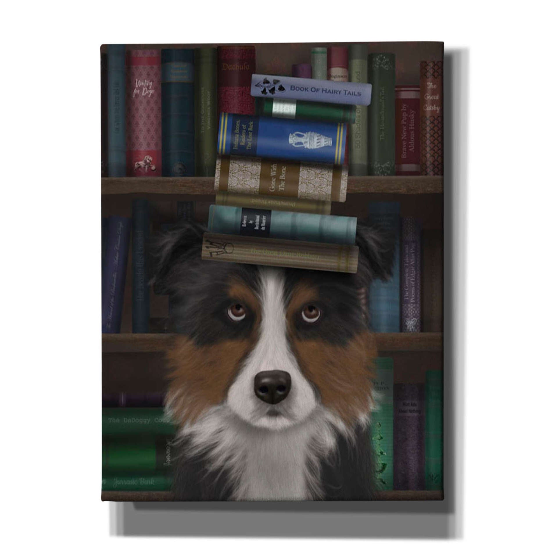 'Border Collie, Tricolour, and Books,' by Fab Funky, Giclee Canvas Wall Art