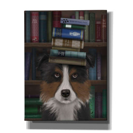 'Border Collie, Tricolour, and Books,' by Fab Funky, Giclee Canvas Wall Art