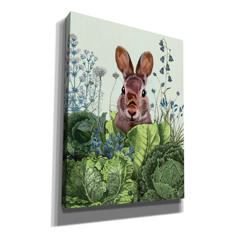 Image of 'Cabbage Patch Rabbit 6 ' by Fab Funky, Giclee Canvas Wall Art