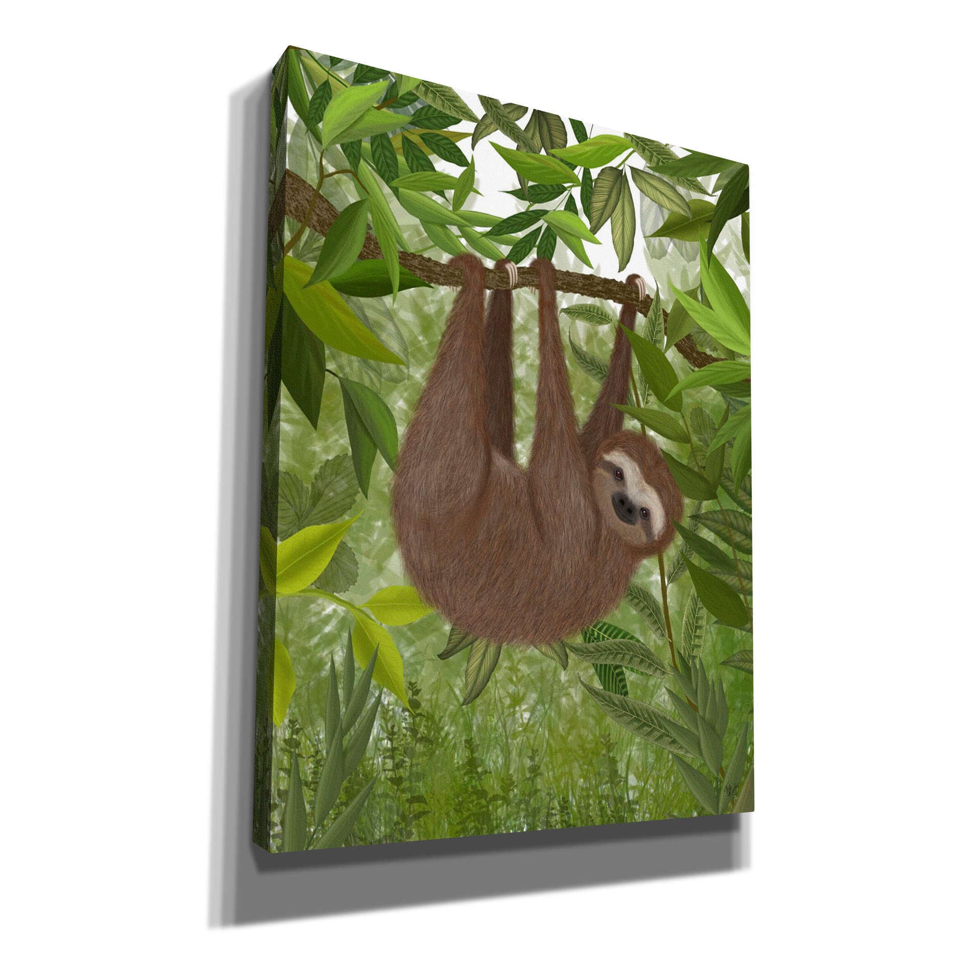 'Sloth Hanging Around' by Fab Funky, Giclee Canvas Wall Art