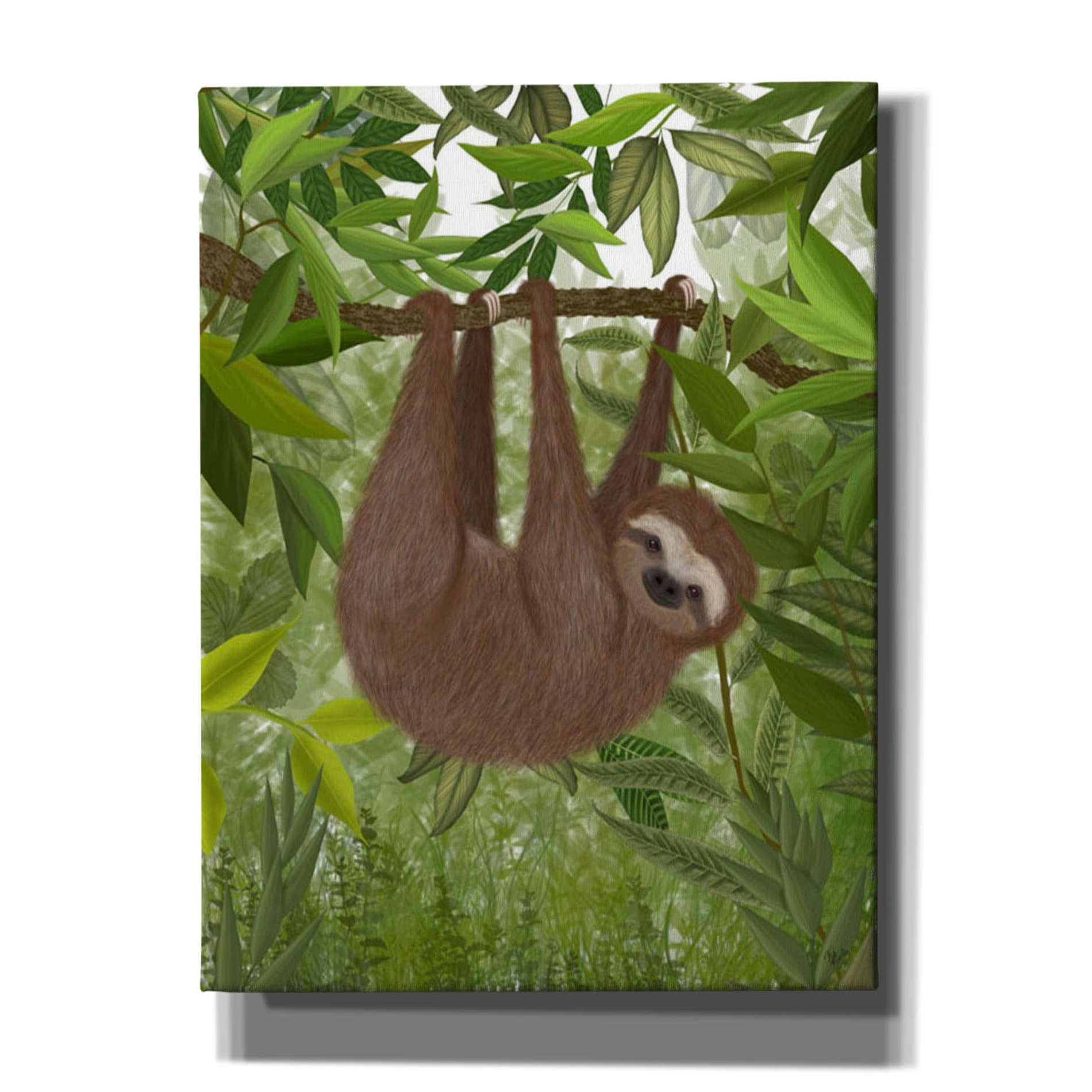 'Sloth Hanging Around' by Fab Funky, Giclee Canvas Wall Art