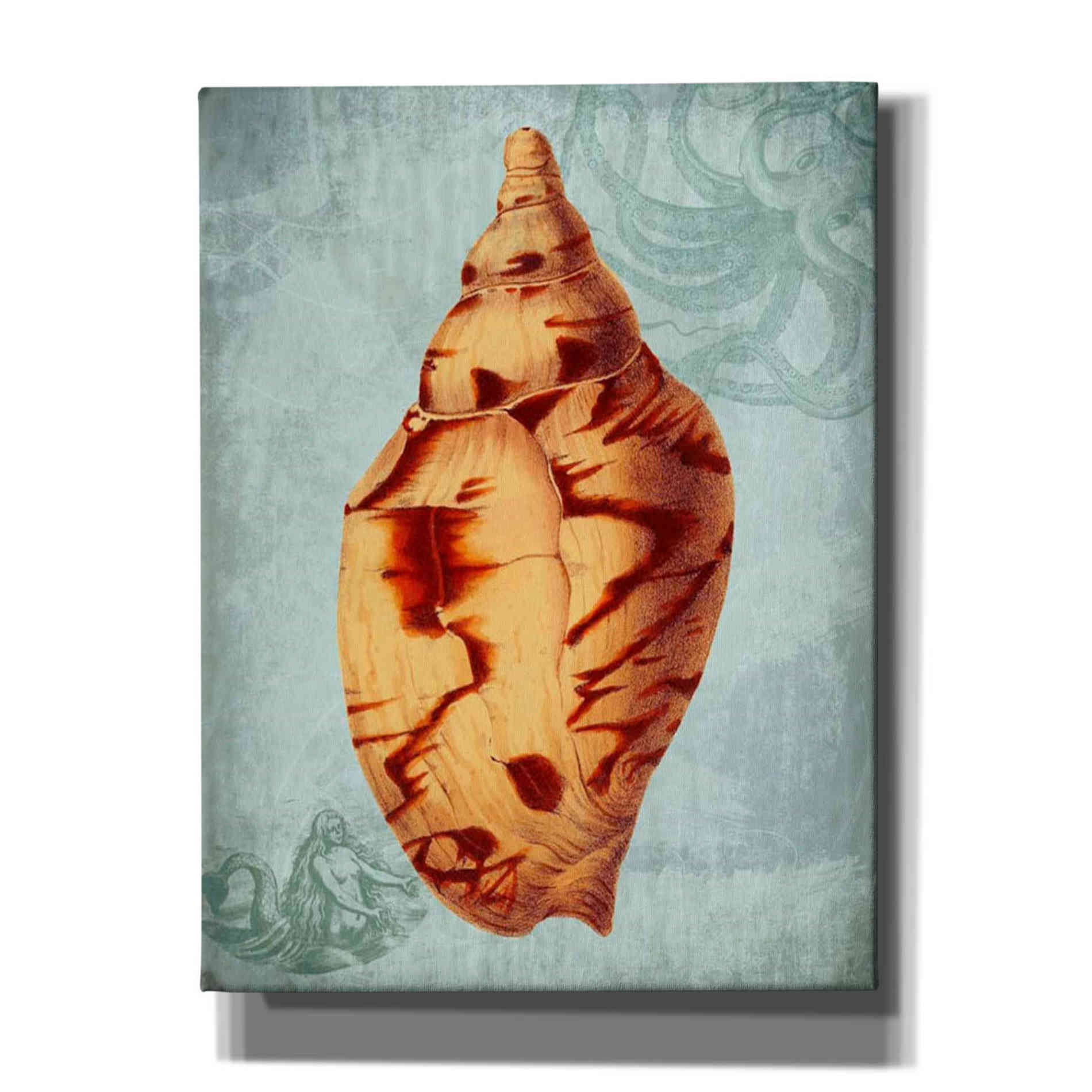 'Coastal Life Collection 2 d' by Fab Funky Giclee Canvas Wall Art