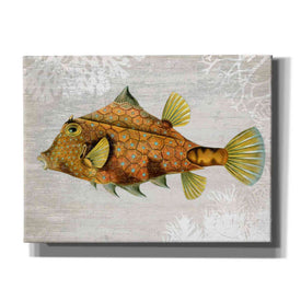 'Gold Turret Fish' by Fab Funky Giclee Canvas Wall Art