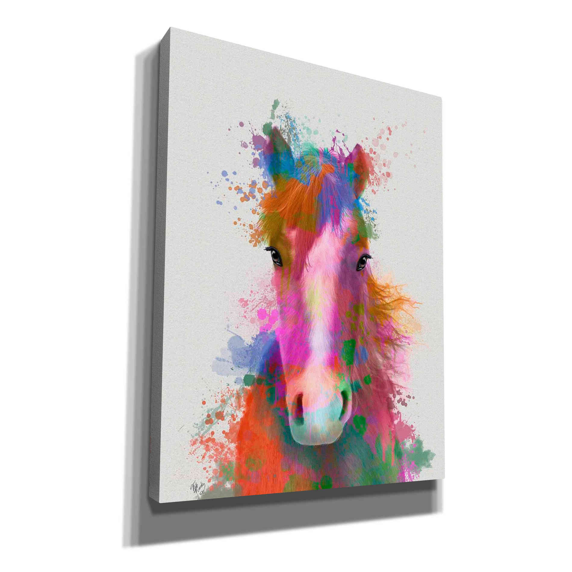 'Horse Portrait 2 Rainbow Splash' by Fab Funky Giclee Canvas Wall Art