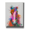 'Horse Portrait 2 Rainbow Splash' by Fab Funky Giclee Canvas Wall Art