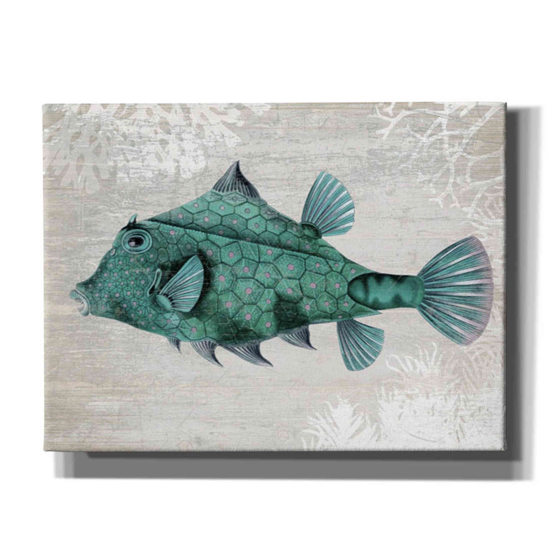 'Turquoise Turret Fish' by Fab Funky Giclee Canvas Wall Art