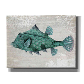 'Turquoise Turret Fish' by Fab Funky Giclee Canvas Wall Art