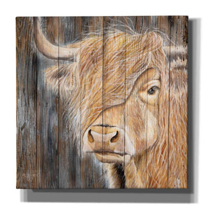 'A Windy Day on the Farm' by Diane Fifer, Giclee Canvas Wall Art