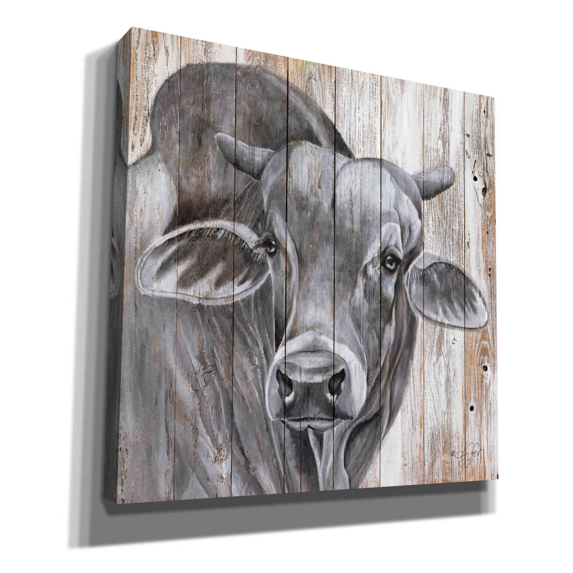 'Eyes Wide Open' by Diane Fifer, Giclee Canvas Wall Art