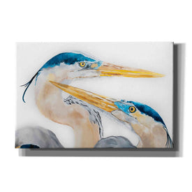 'The Dance' by Diane Fifer, Giclee Canvas Wall Art