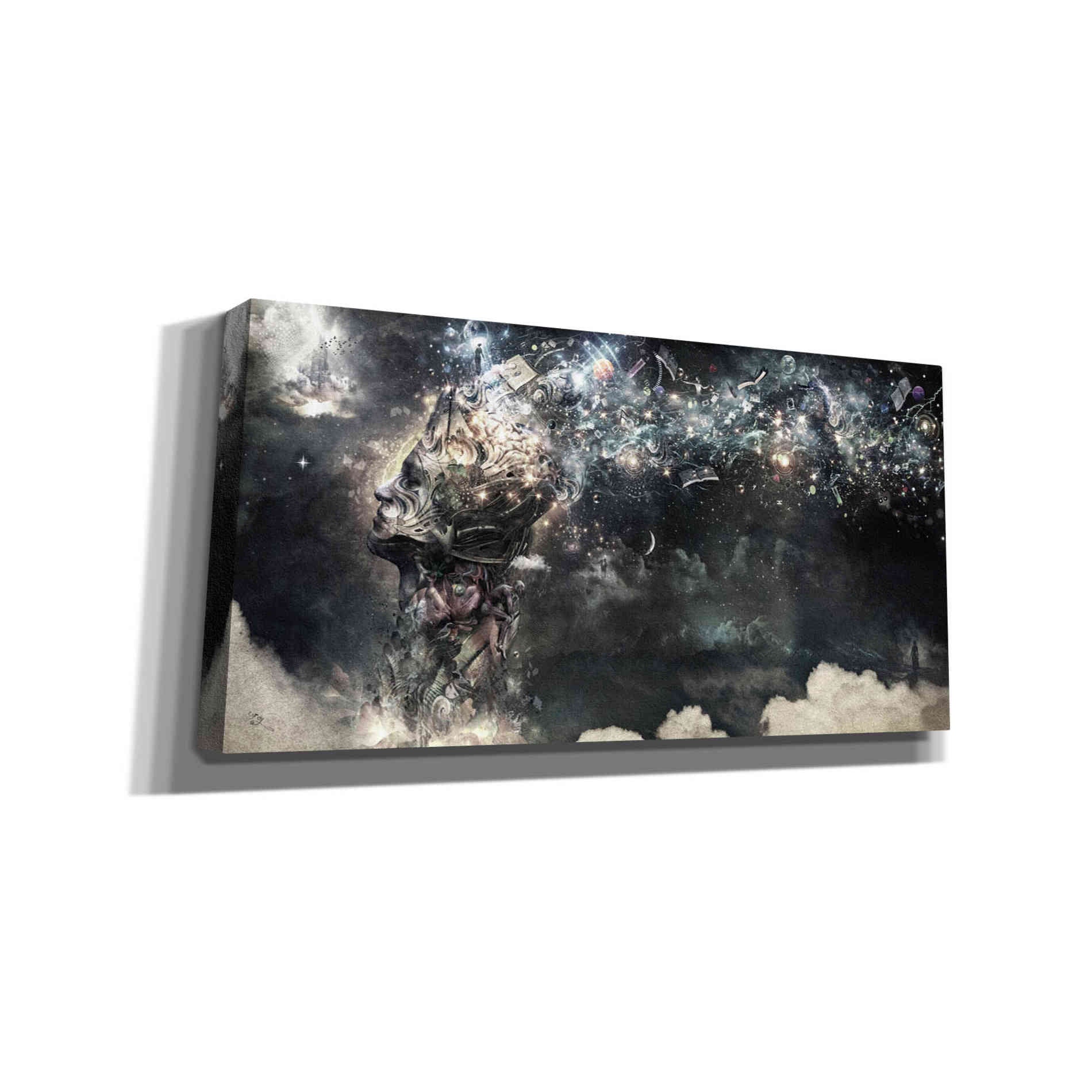 'Coma' by Cameron Gray, Canvas Wall Art