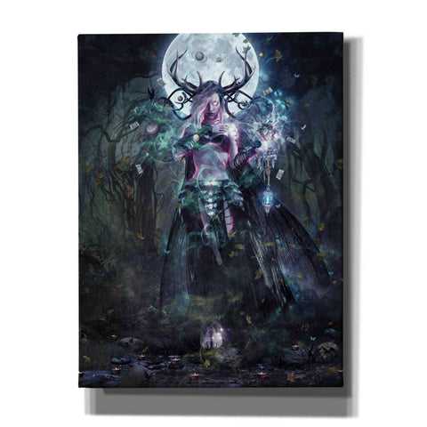 Image of 'The Dreamcatcher' by Cameron Gray, Canvas Wall Art