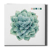 'Succulent I' by Grace Popp Canvas Wall Art