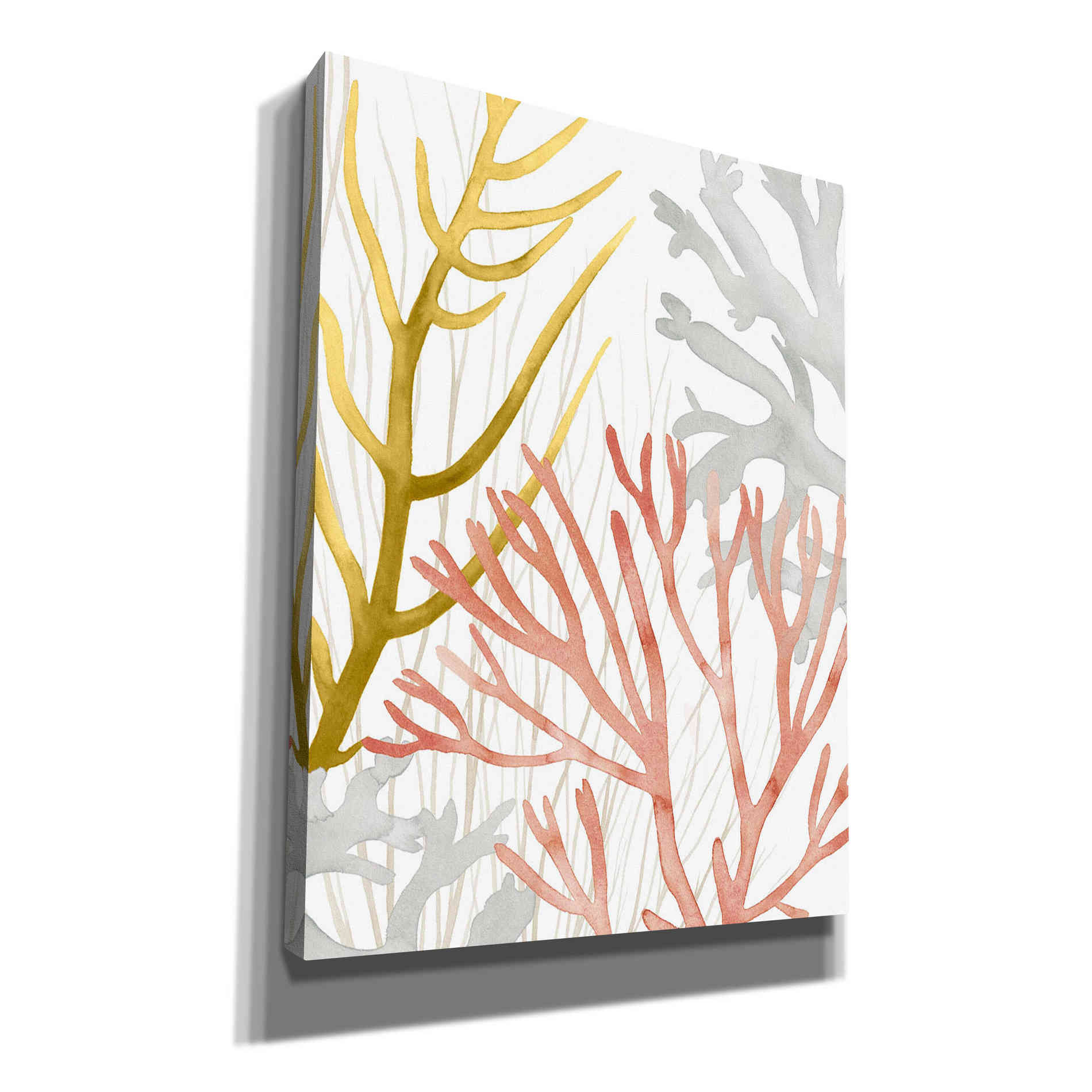 'Desert Coral II' by Grace Popp Canvas Wall Art