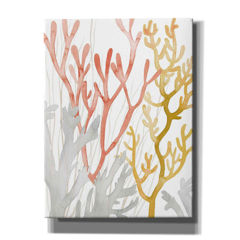 Image of 'Desert Coral I' by Grace Popp Canvas Wall Art