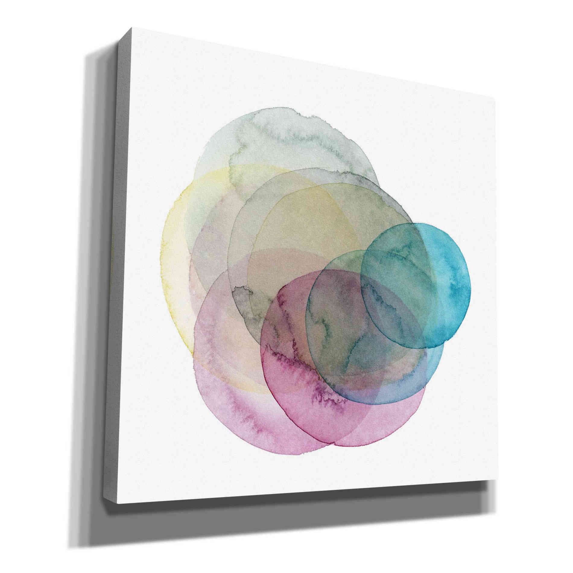 'Evolving Planets II' by Grace Popp Canvas Wall Art