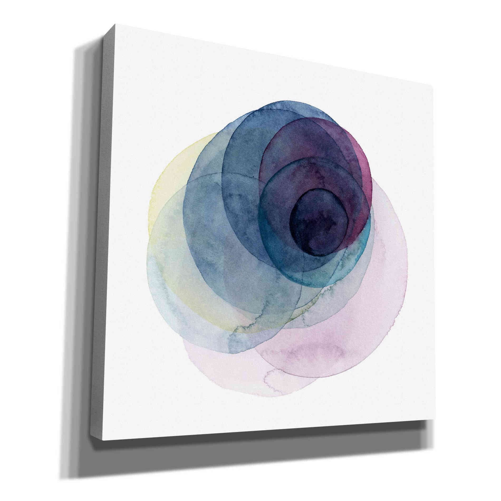 'Evolving Planets III' by Grace Popp Canvas Wall Art