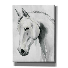 'Horse Whisper I' by Grace Popp Canvas Wall Art