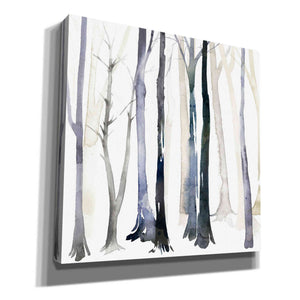 'In the Forest II' by Grace Popp Canvas Wall Art