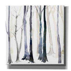 'In the Forest II' by Grace Popp Canvas Wall Art