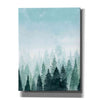 'Into the Trees I' by Grace Popp Canvas Wall Art