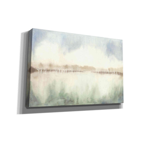 Image of 'Mid Morning Mist I' by Grace Popp Canvas Wall Art