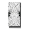 'Rays IV' by Grace Popp Canvas Wall Art
