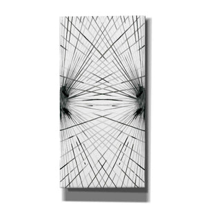 'Rays IV' by Grace Popp Canvas Wall Art