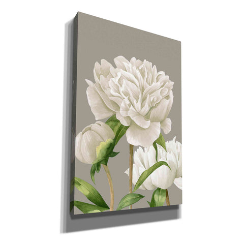 Image of 'White Peonies II' by Grace Popp Canvas Wall Art