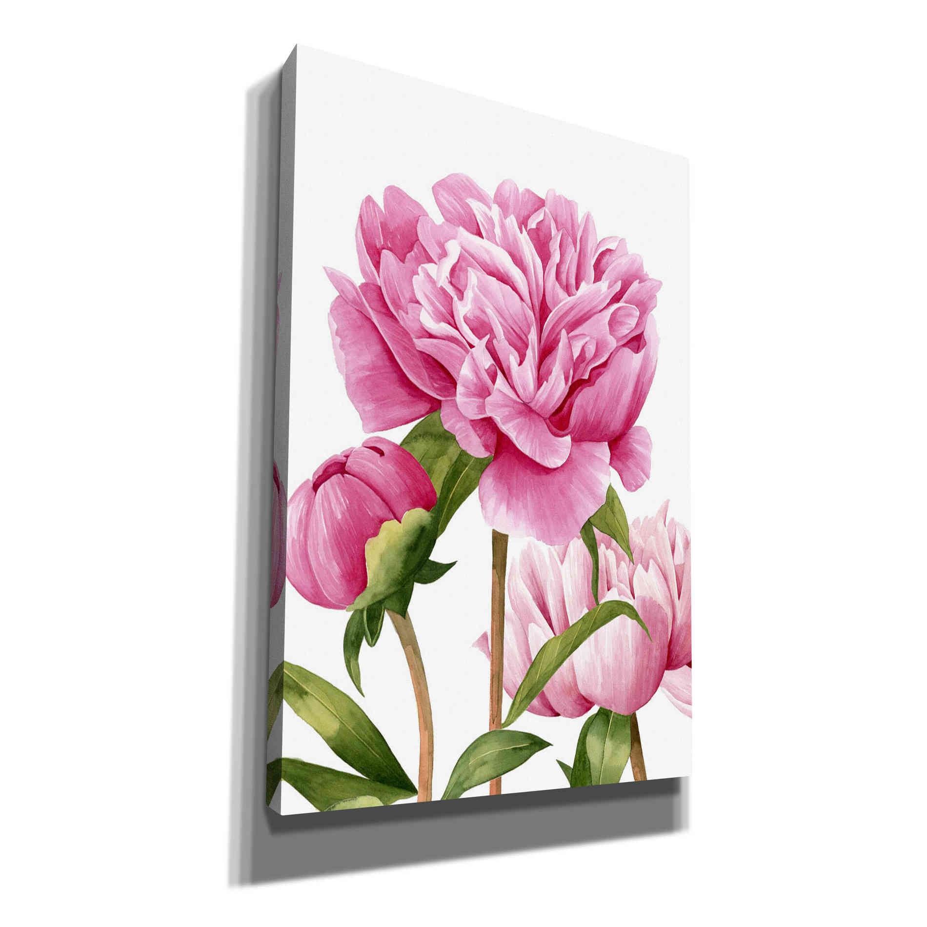 'Winsome Peonies II' by Grace Popp Canvas Wall Art