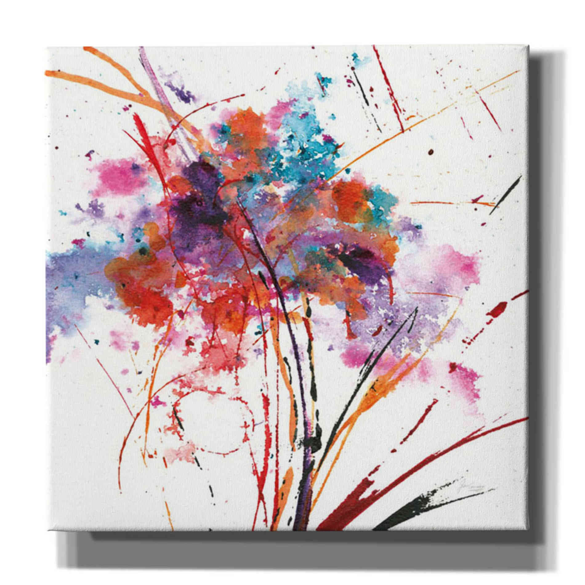 'Floral Explosion I on White' by Jan Griggs, Giclee Canvas Wall Art