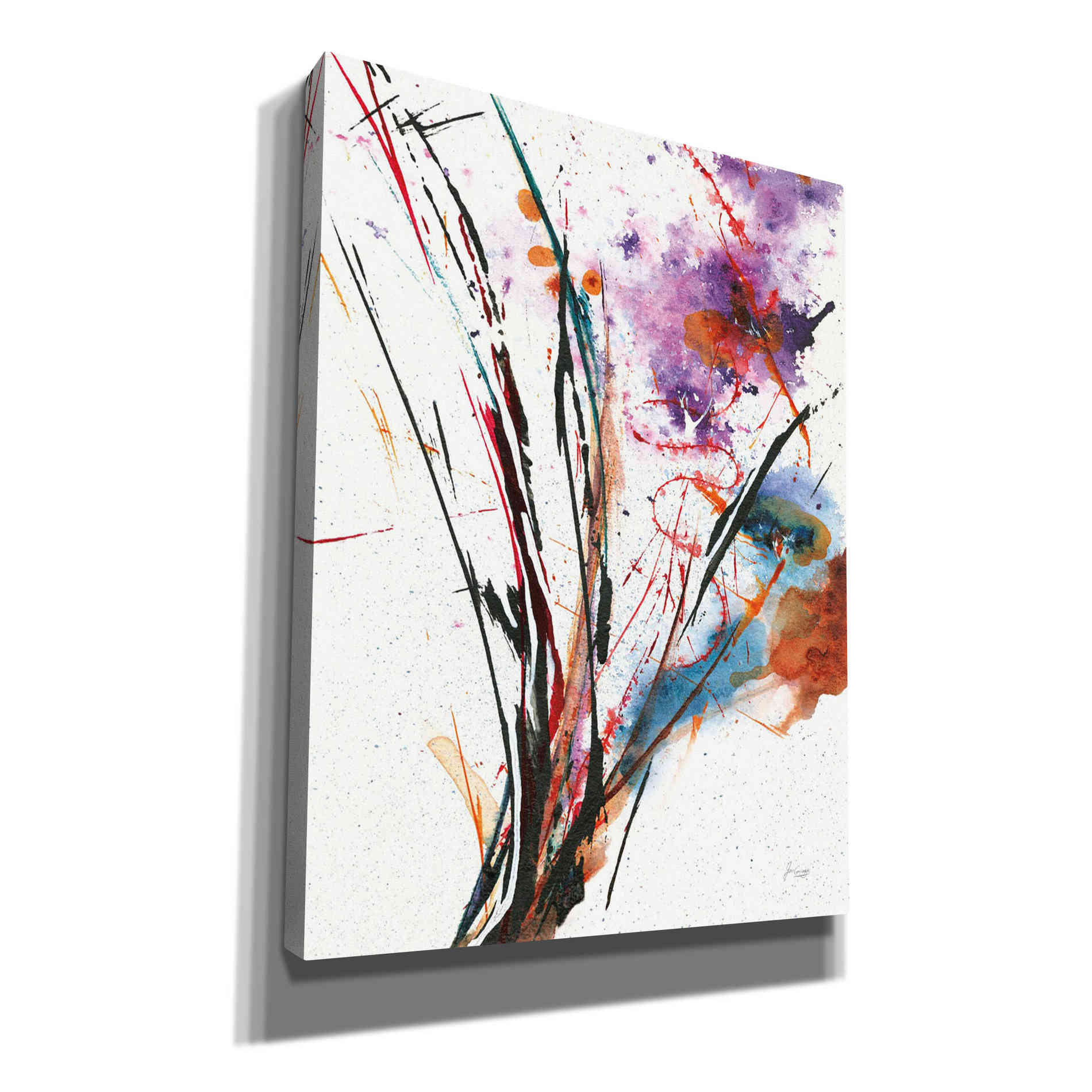 'Floral Explosion IV On White Crop' by Jan Griggs, Giclee Canvas Wall Art