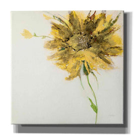 'Yellow Daisy on White' by Jan Griggs, Giclee Canvas Wall Art