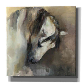 'Classical Horse' by Marilyn Hageman, Canvas Wall Art