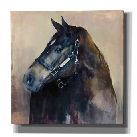 Image of 'Ritzy Light' by Marilyn Hageman, Canvas Wall Art