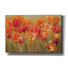 'Tulips in the Midst III' by Marilyn Hageman, Canvas Wall Art