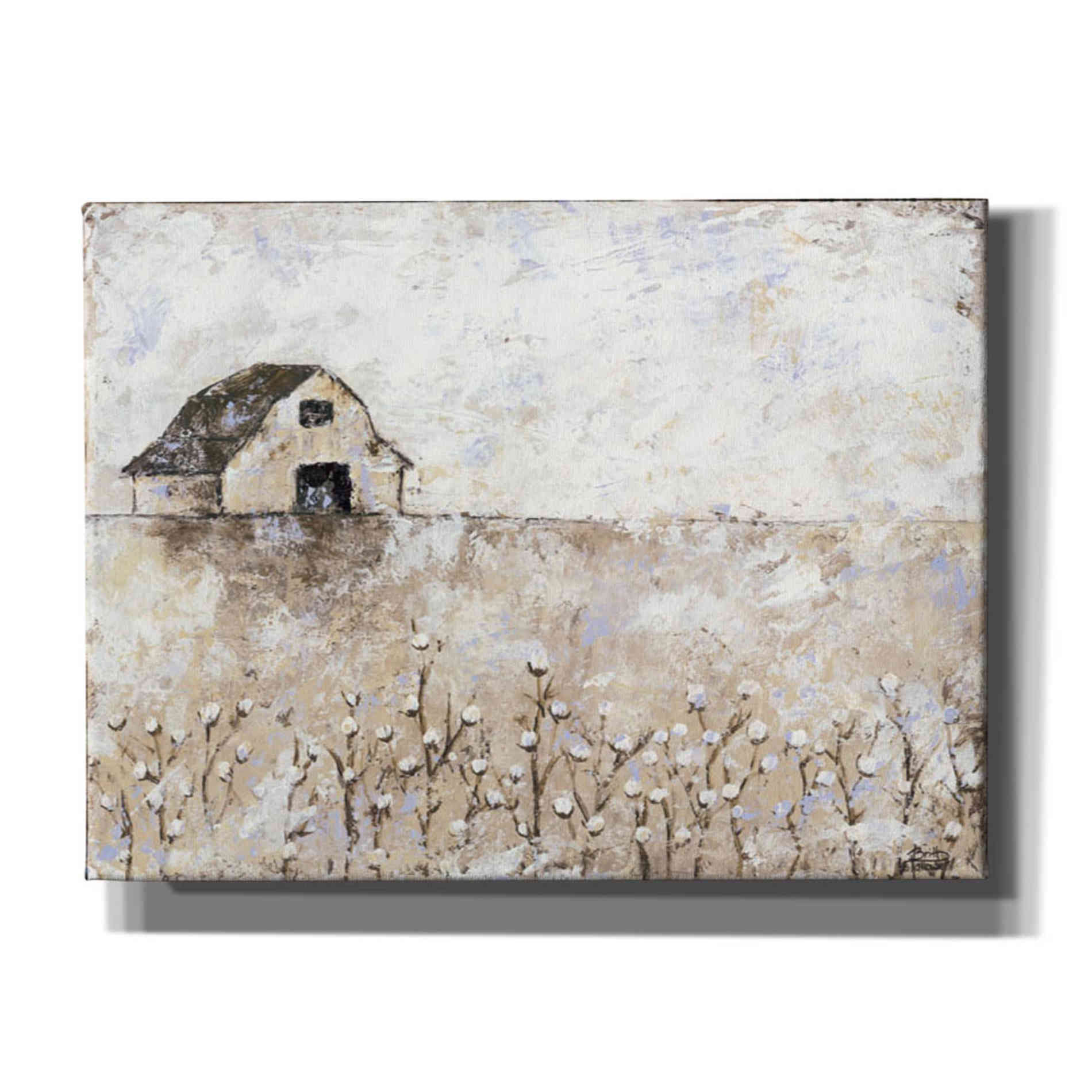 'Cotton Farms' by Britt Hallowell, Canvas Wall Art,Size B Landscape