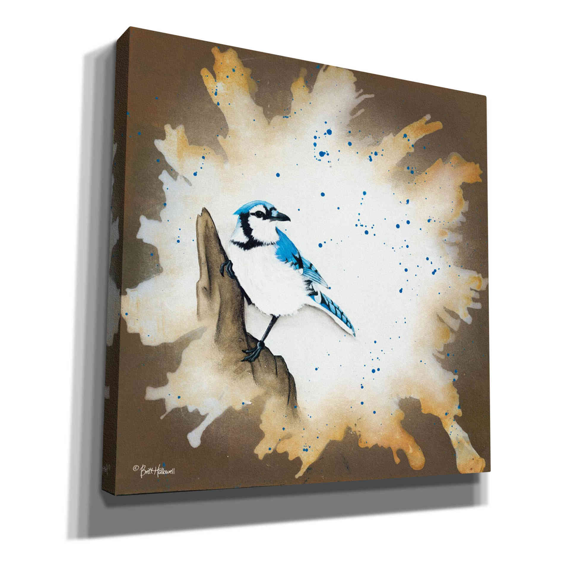 'Weathered Friends - Blue Jay' by Britt Hallowell, Canvas Wall Art,Size 1 Square