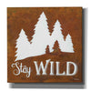 'Stay Wild' by Britt Hallowell, Canvas Wall Art,Size 1 Square