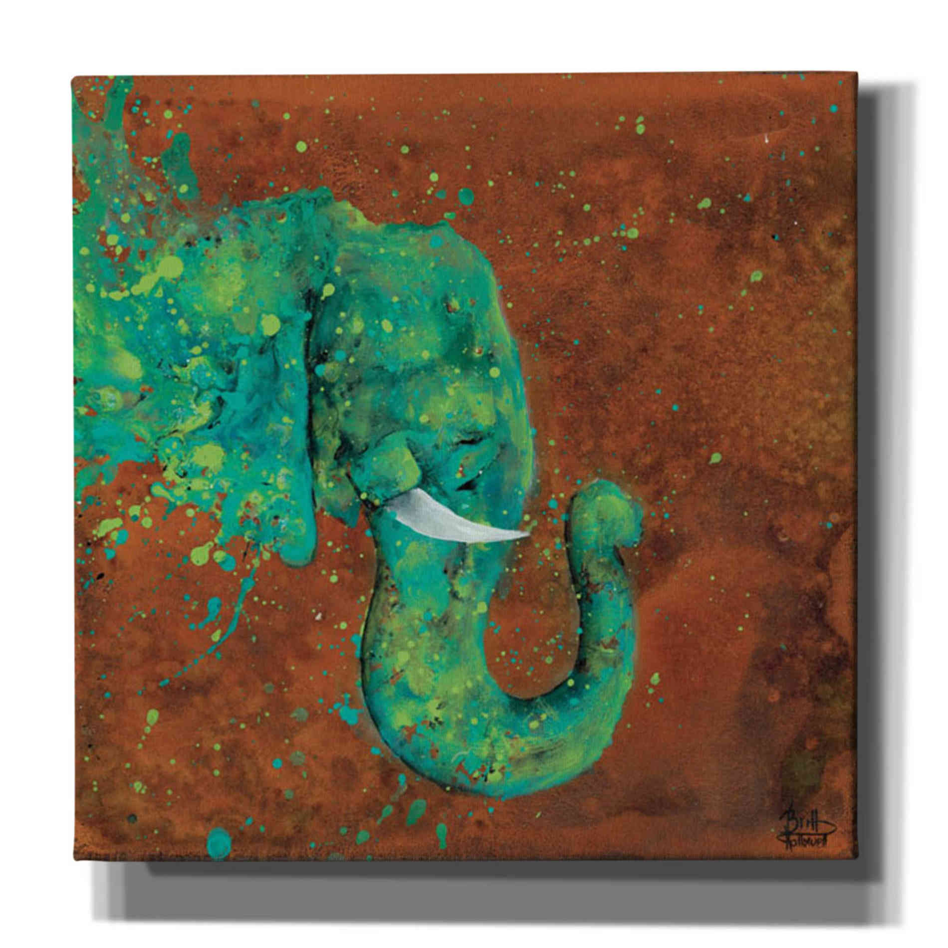 'Splashing Forth' by Britt Hallowell, Canvas Wall Art,Size 1 Square