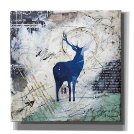 'Wanderer's Spirit' by Britt Hallowell, Canvas Wall Art,Size 1 Square