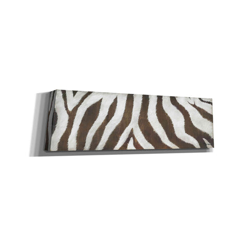 Image of 'Different Stripes' by Britt Hallowell, Canvas Wall Art,Size 3 Landscape