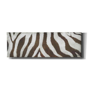 'Different Stripes' by Britt Hallowell, Canvas Wall Art,Size 3 Landscape