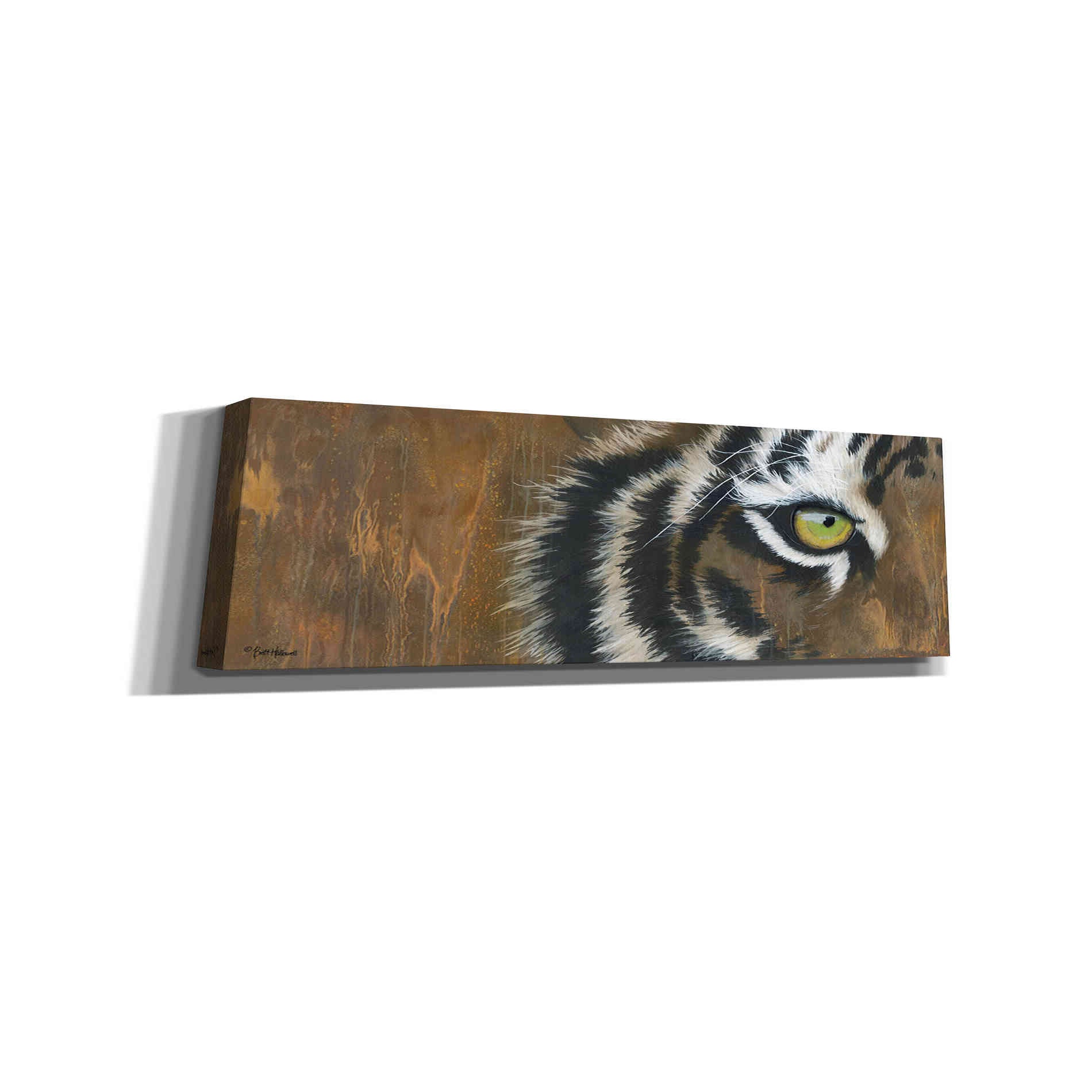 'Searching for the Man Cub' by Britt Hallowell, Canvas Wall Art,Size 3 Landscape