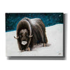 'Dressed for Winter' by Britt Hallowell, Canvas Wall Art,Size B Landscape