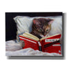 'Late Night Thriller' by Lucia Heffernan, Canvas Wall Art,Size B Landscape