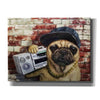 'Who Let The Dogs Out' by Lucia Heffernan, Canvas Wall Art,Size B Landscape