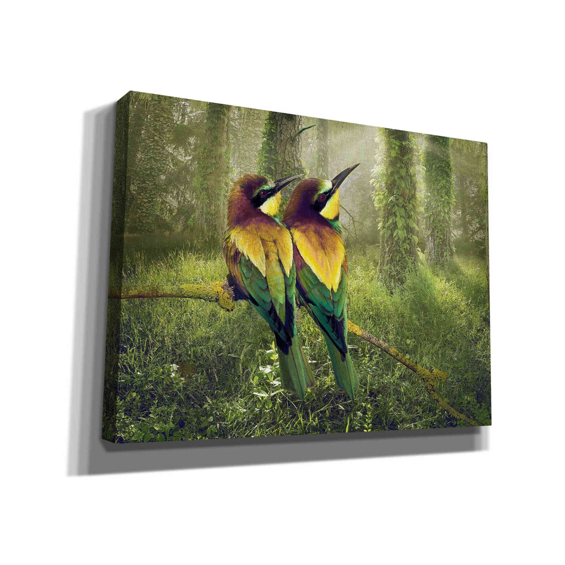 'A Bright Future' by Steve Hunziker, Canvas Wall Art